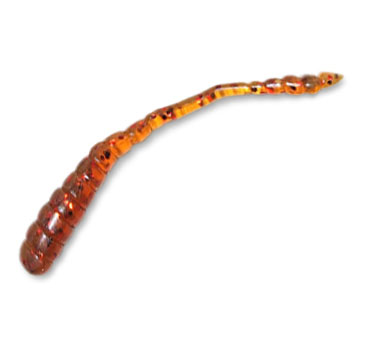   Kosadaka Sly Worm, 50mm, . OD (20.)